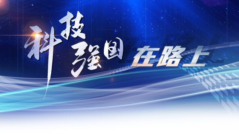 供应链管理软件实施流程：关键步骤与要点解析